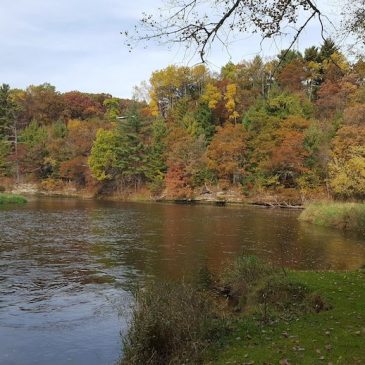 Fall Colors on the Red Cedar River