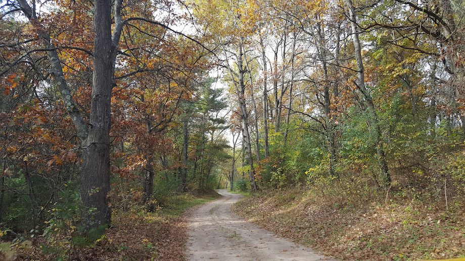 Dirt Road