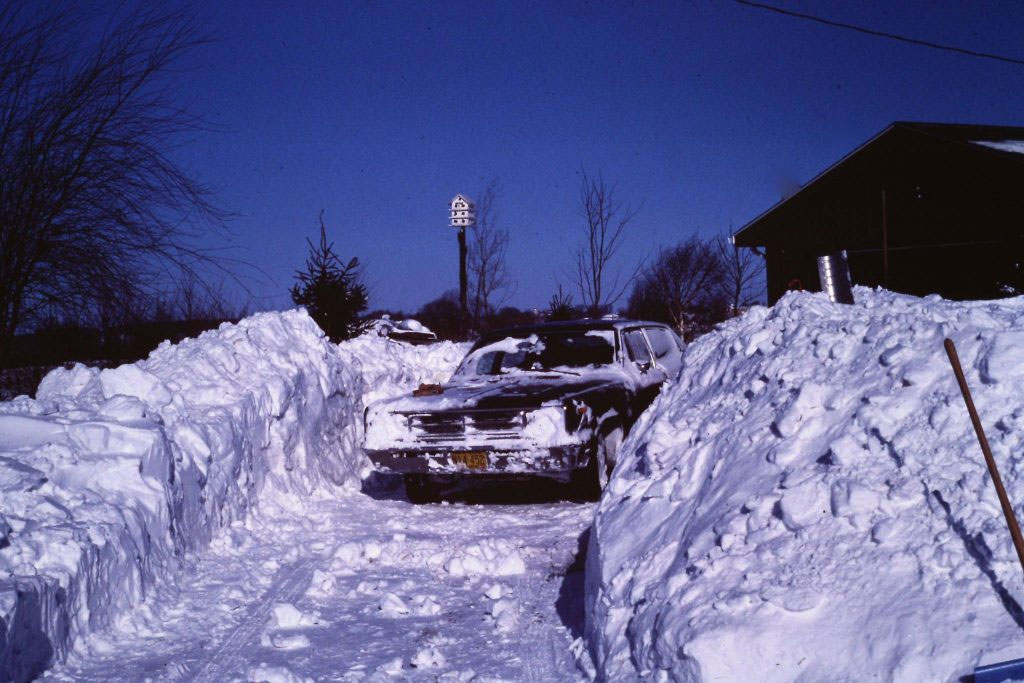 Winter Driveway and Snowbanks