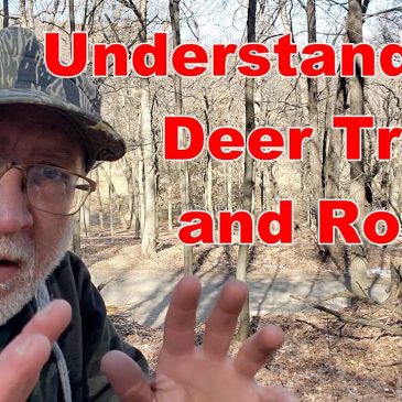 Understanding Deer Trails and Roads