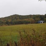Wet Deer Blind Landscape