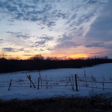 Gaining Back the Daylight at Otter Creek