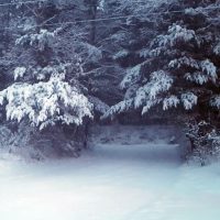 Snowstorm in March 2018