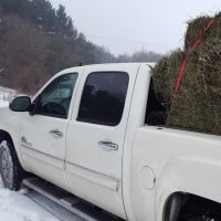Hauling hay in the winter