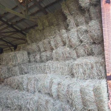Good Friends, Hard Work (and a Kicker Baler That Needed Some TLC!) Make the Best Hay