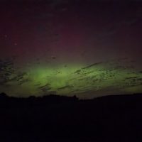 A wide night sky filled with a vibrant green aurora borealis glowing across the horizon, topped with a faint purple haze and scattered stars above a dark silhouette of trees.