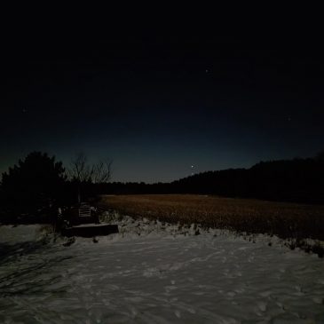 There’s Something so very Primitive about a December Night