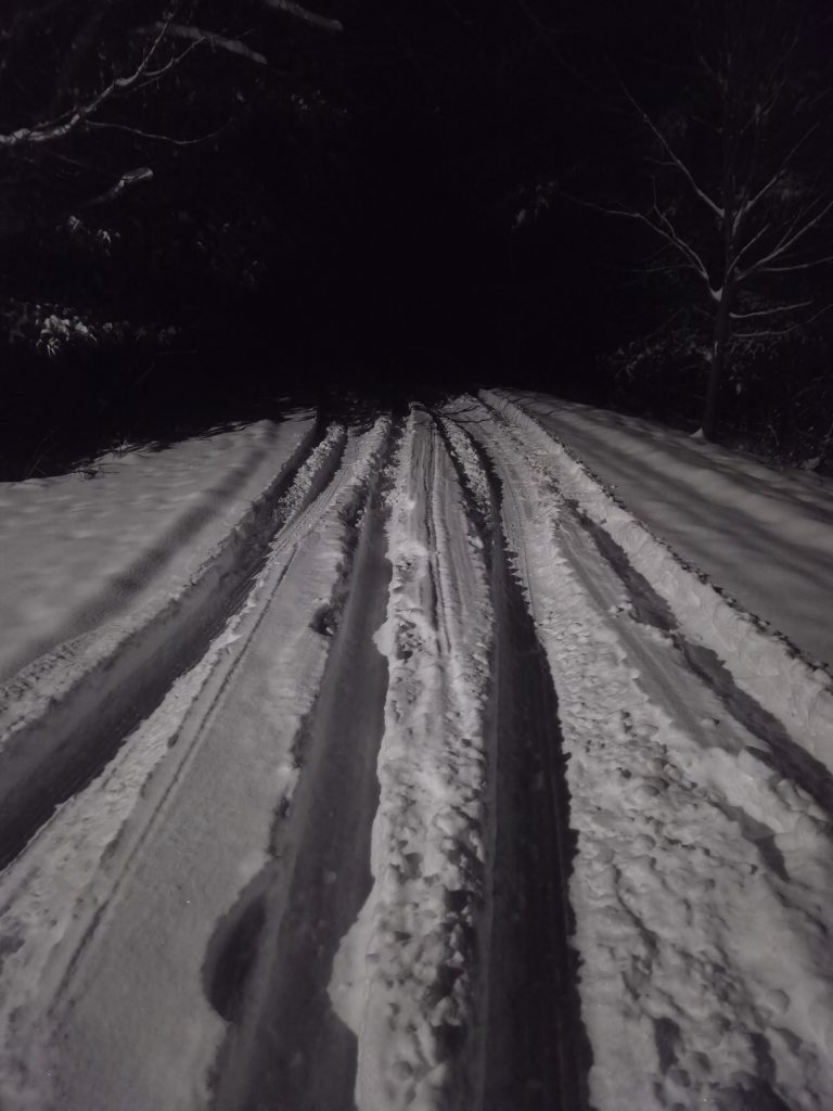 Looking down my long, snow-covered driveway at night with deep tire tracks leading toward a dark tree line.