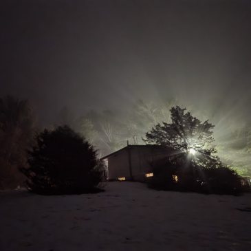 The Quiet Glow of a Foggy Night in Otter Creek