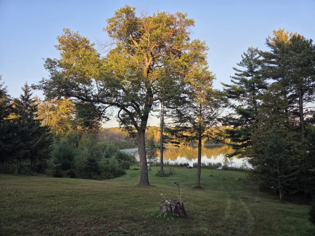 A wide, scenic view of a sloping green lawn leading down to a calm lake reflecting the golden light of late afternoon. Several large deciduous and pine trees frame the water.