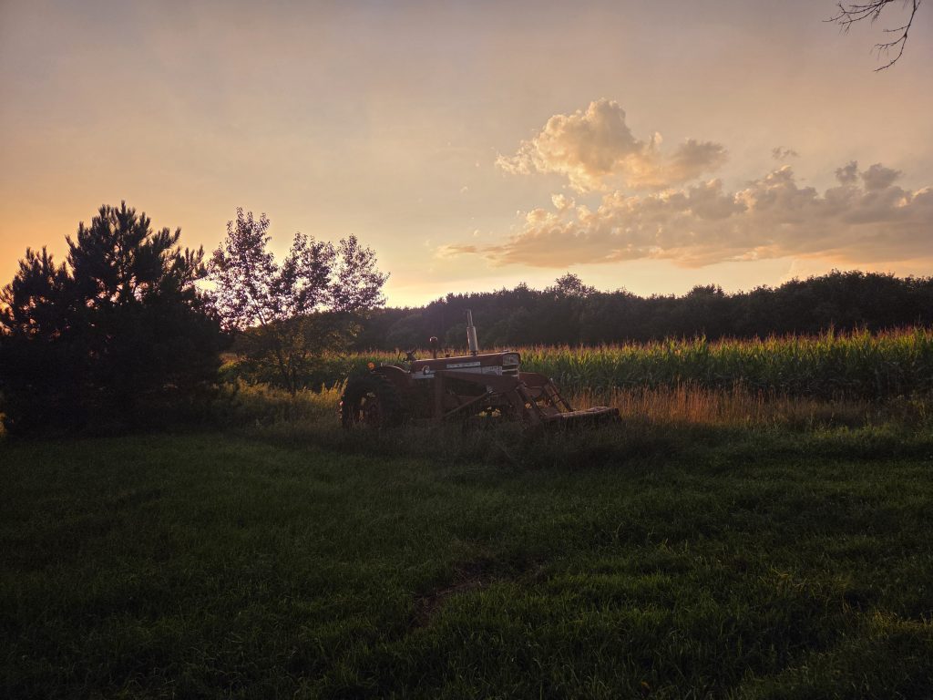 A red vintage tractor sits in a grassy field at sunset, positioned in front of a tall cornfield with a warm, glowing sky and soft clouds in the background.