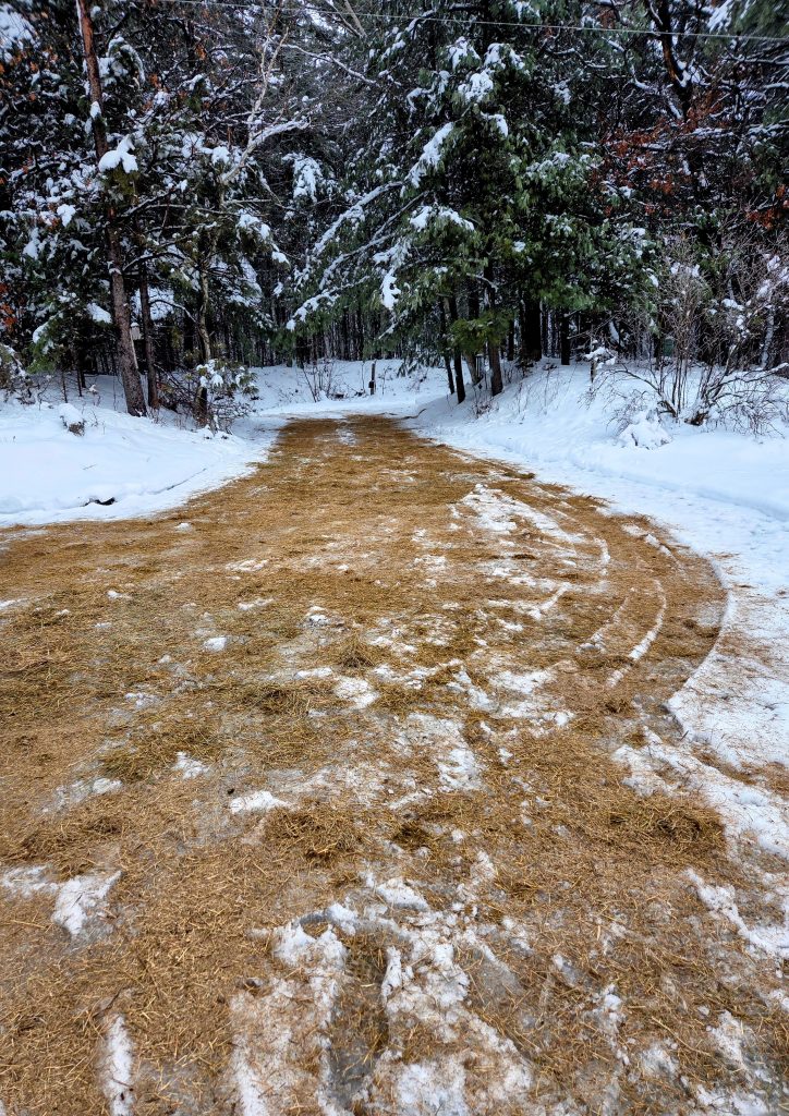 The same driveway now heavily coated with a thick layer of golden-brown hay chaff, providing a textured, non-slip surface over the ice for better traction.
