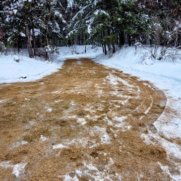 Forget the Salt: Why Hay Chaff is the Ultimate Winter Traction Hack