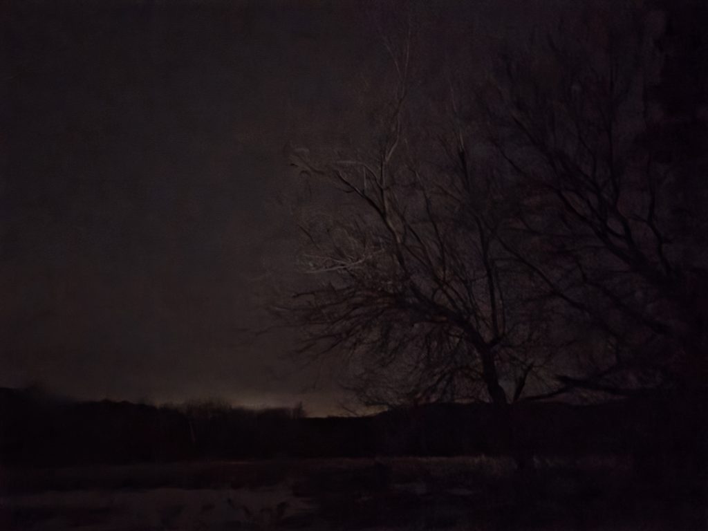 View of the Northern Lights over a ridge in Otter Creek during winter chores.