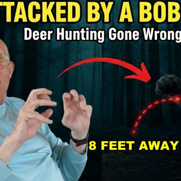 In the Dark: A Bobcat Encounter My Dad Never Forgot