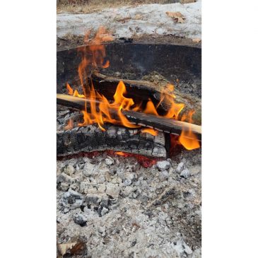 A Quiet Winter Reflection from Rural Wisconsin
