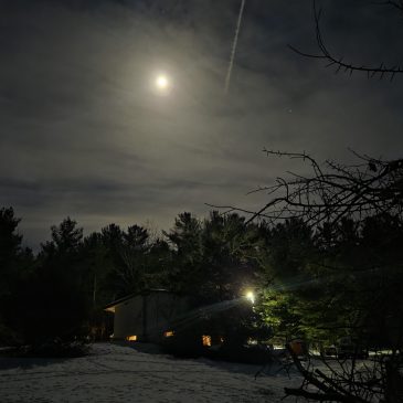 Standing Still in Otter Creek: A Quiet Winter Night in Rural Wisconsin