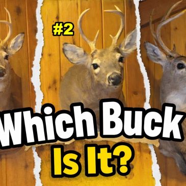 Which Buck Is My Dad’s? A 50-Year-Old Wisconsin Hunting Story