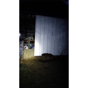 Otter Creek – Country Life in the Rain – Beyond the Golden Hour